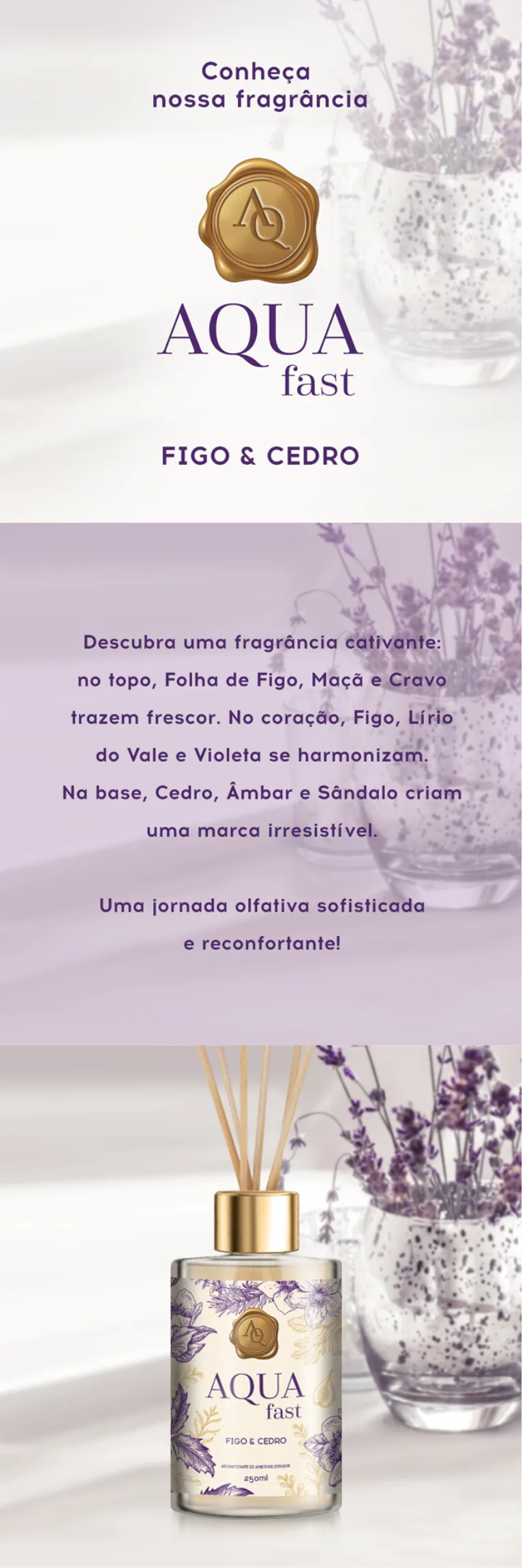 Design sem nome (23)