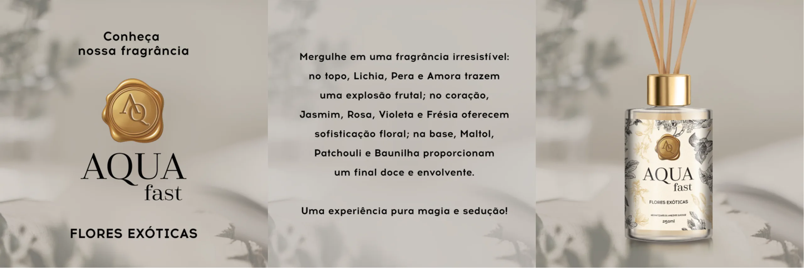 Design sem nome (24)