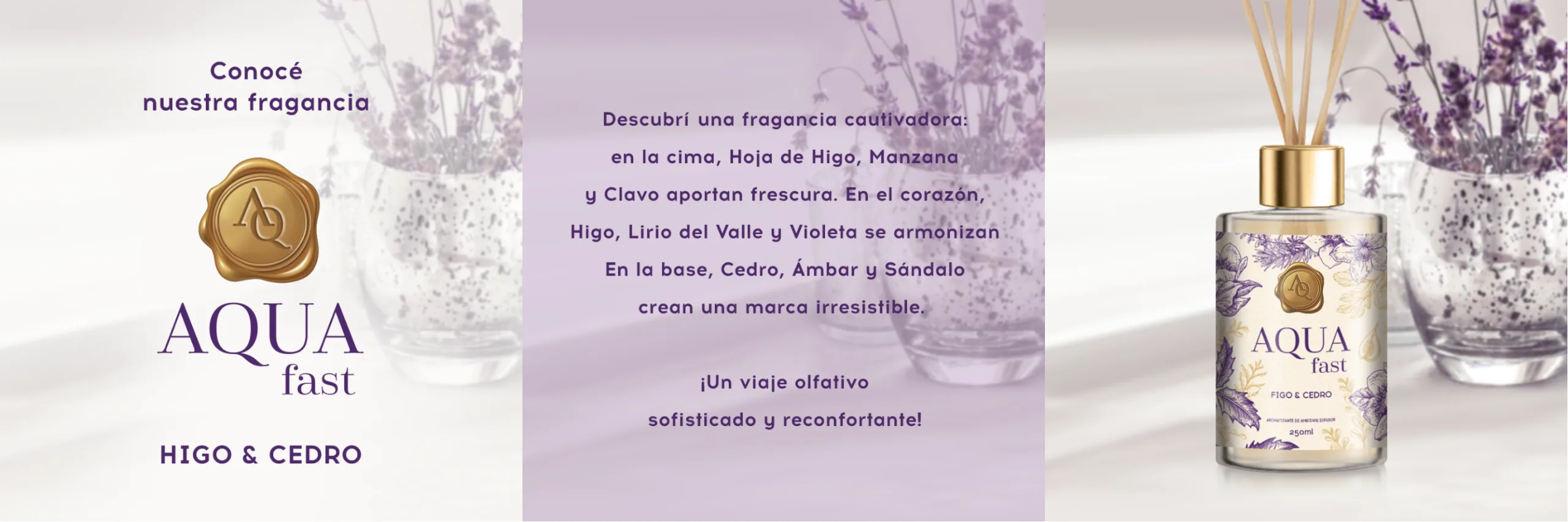 figo-e-cedro