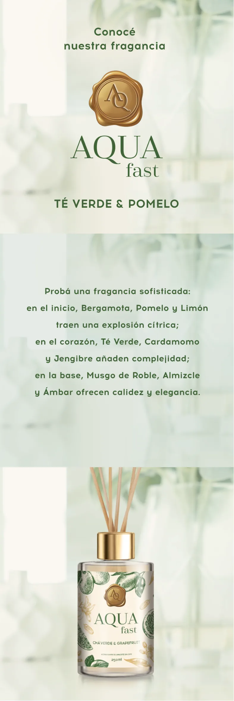 fragrancias-mobile (1)