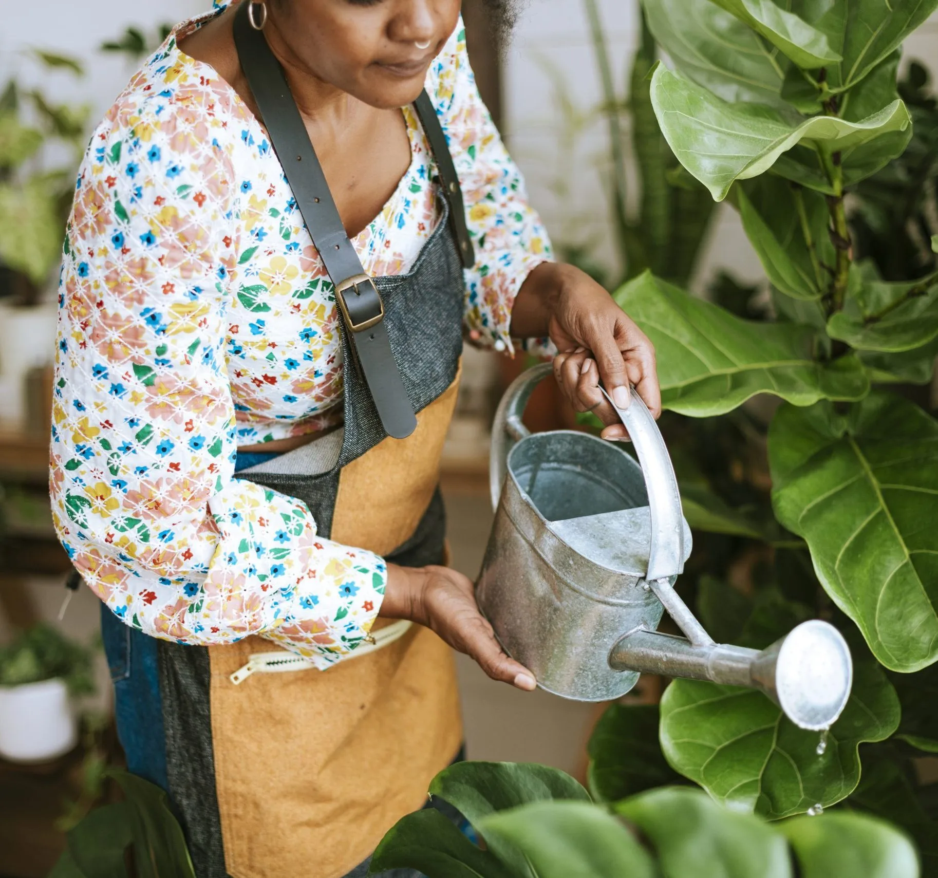 small-business-worker-watering-plants-scaled-e1739822884312